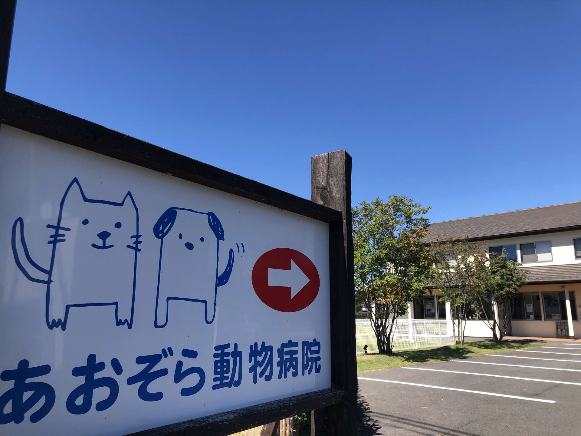 あおぞら動物病院(長野県)